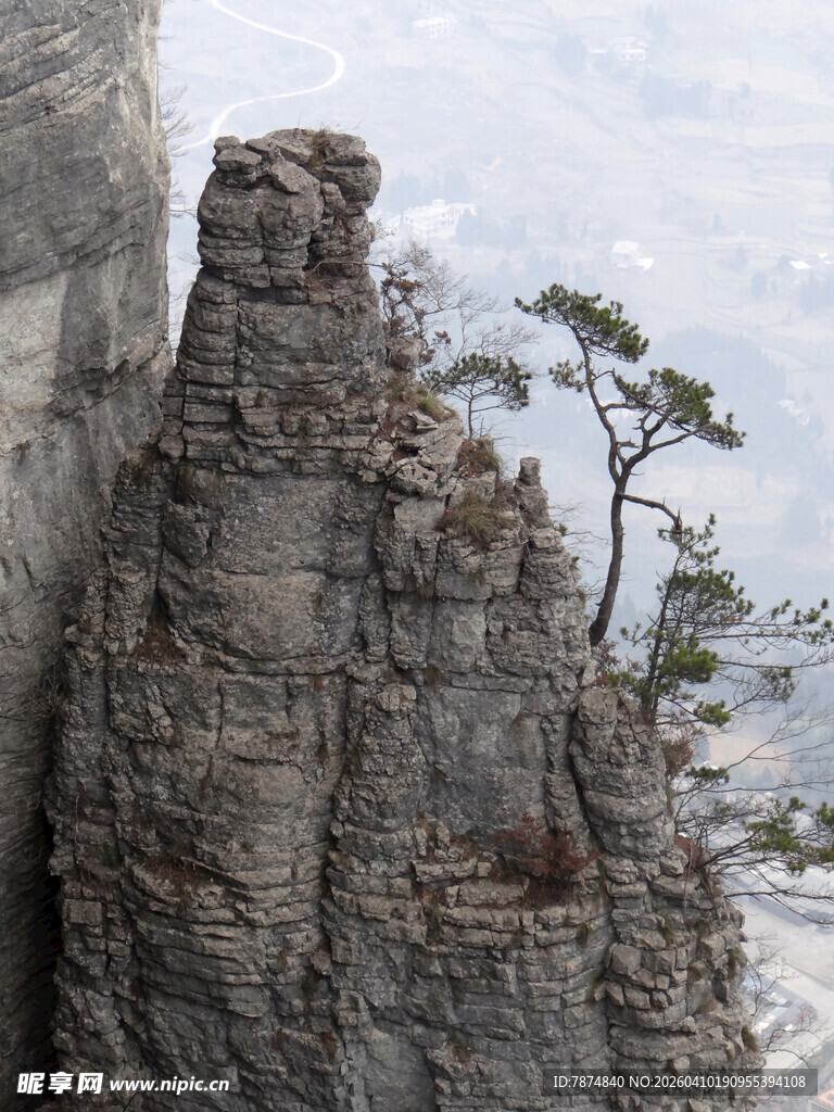 恩施悬崖孤树的壮美自然景观