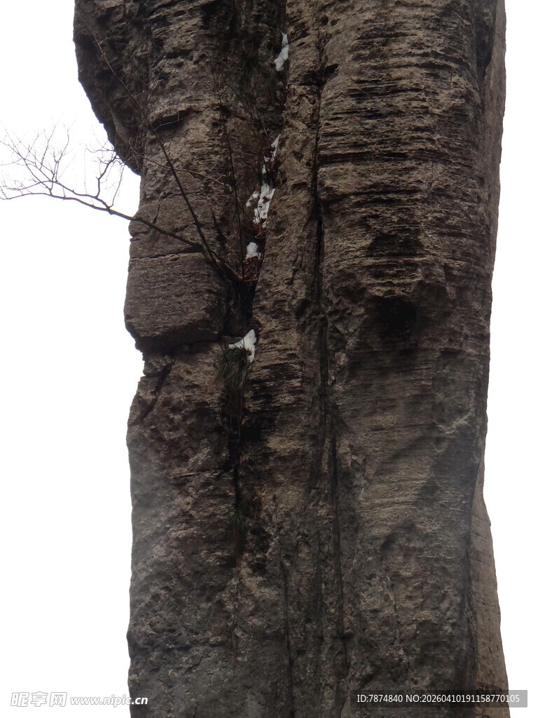 恩施树干上奇特的自然纹理