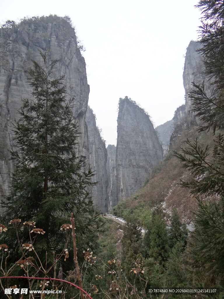 恩施巍峨山峦间的葱郁林木