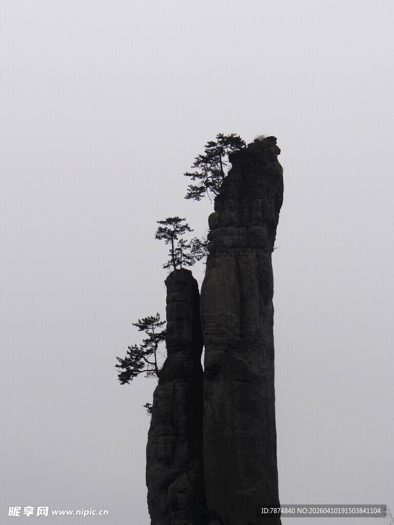 恩施高耸孤峰上的顽强树木