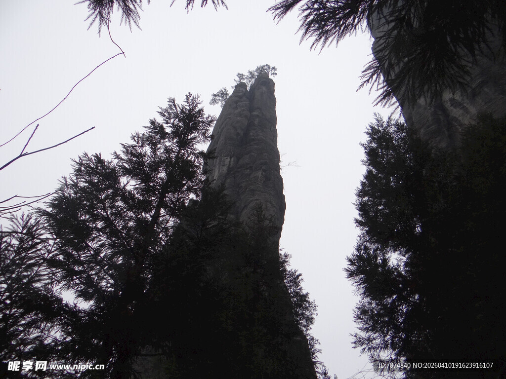 恩施高耸石峰与周边林木景观