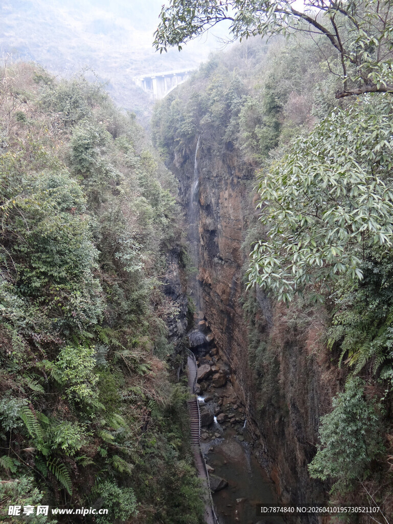 恩施峡谷间繁茂植被景观