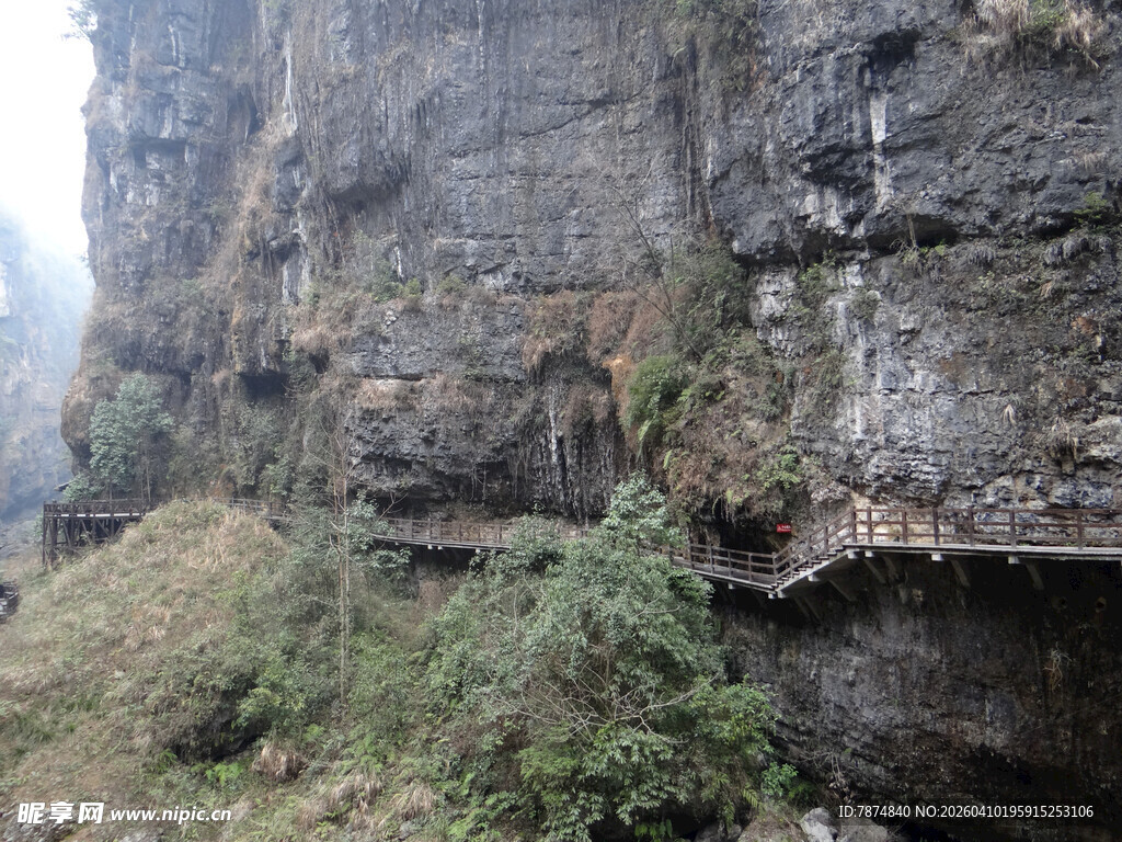 恩施陡峭崖壁上的绿色植被