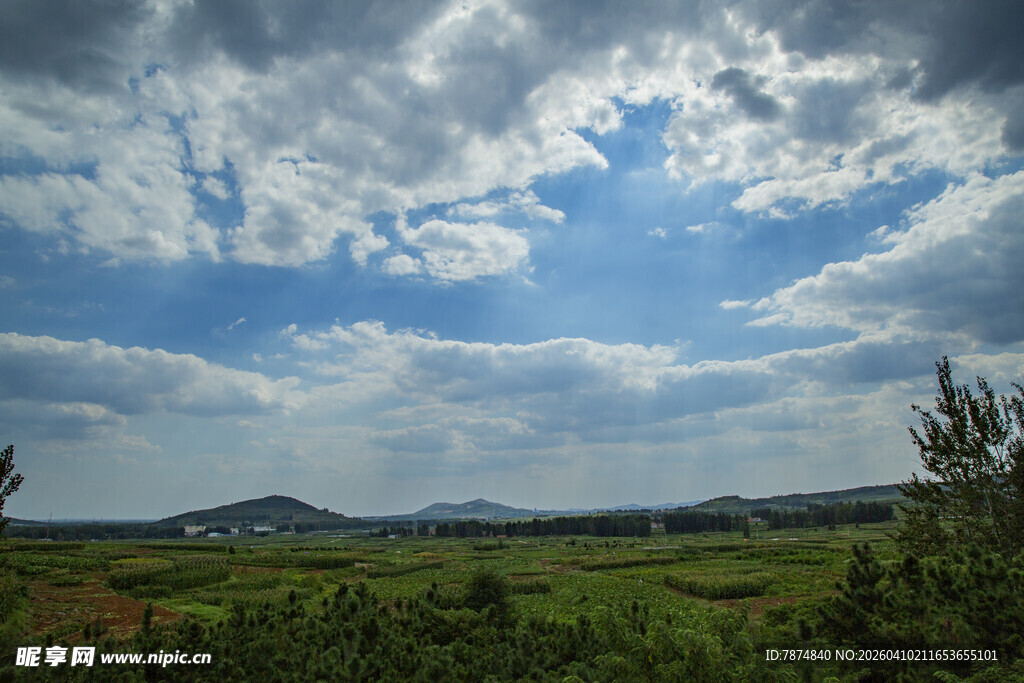 蓝天白云下的广袤田野