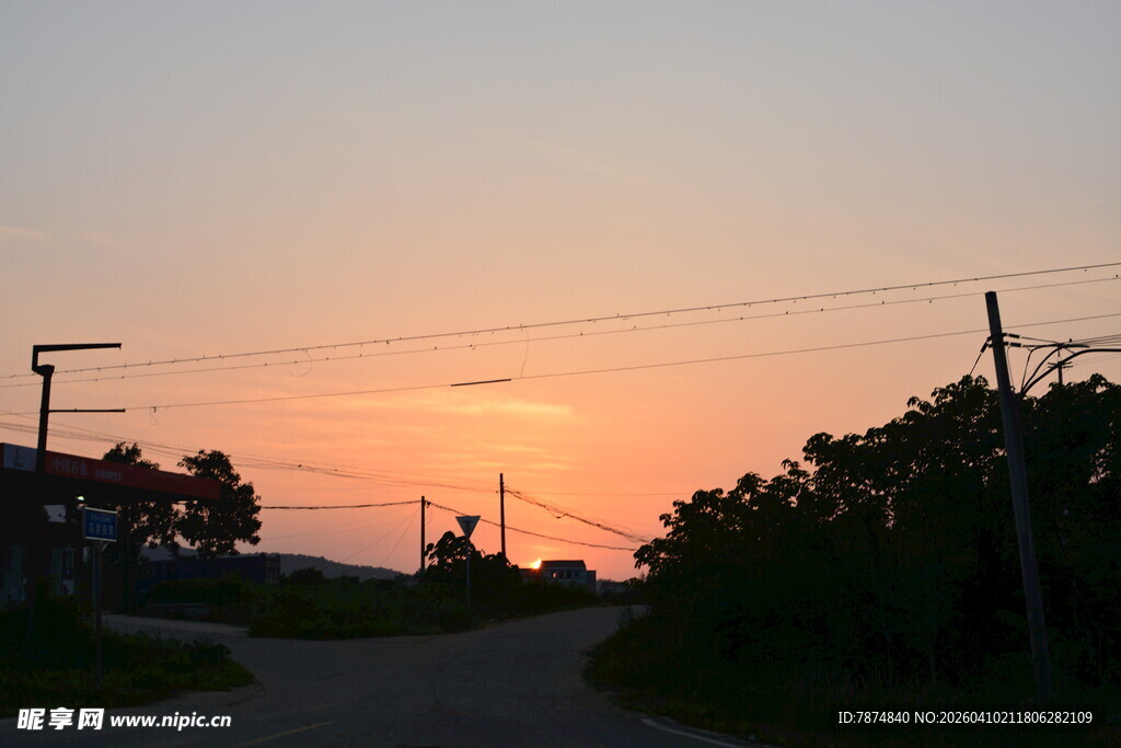 黄昏下的乡间小路与植被