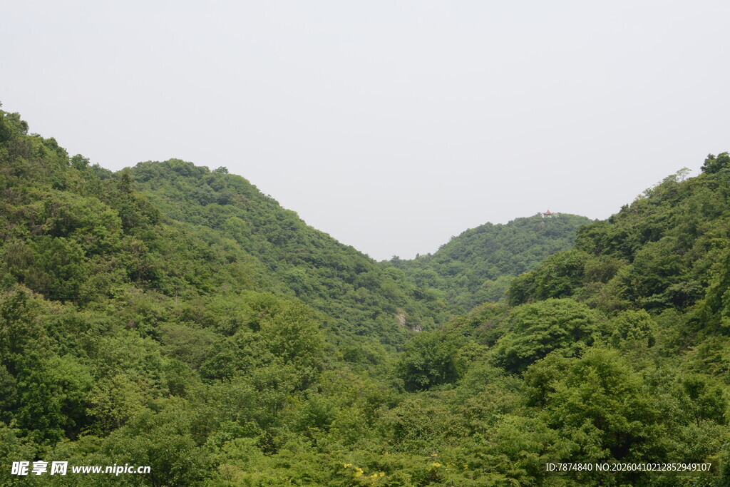 翠绿山峦间的繁茂植被