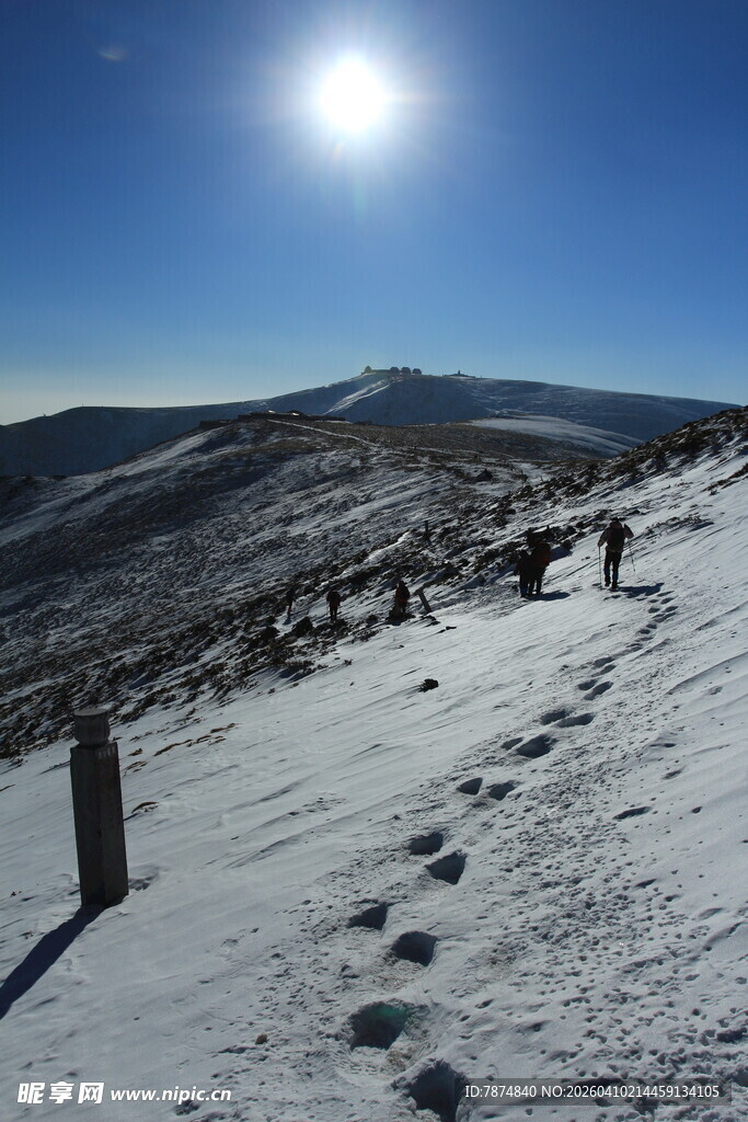 雪地足迹 阳光下的山间美景