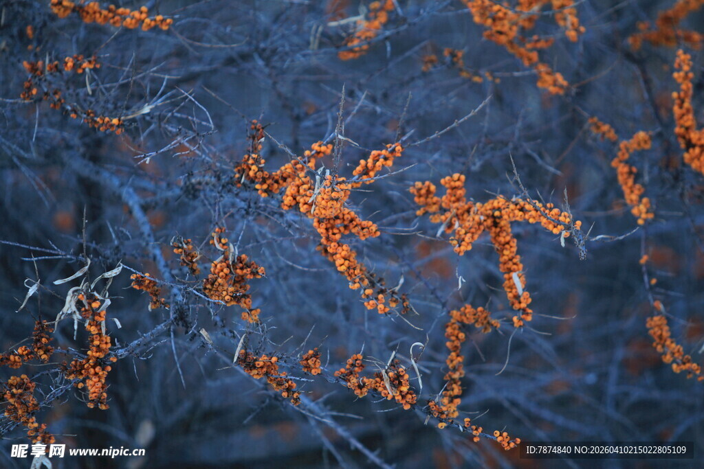 蓝底橙色纹理抽象图案