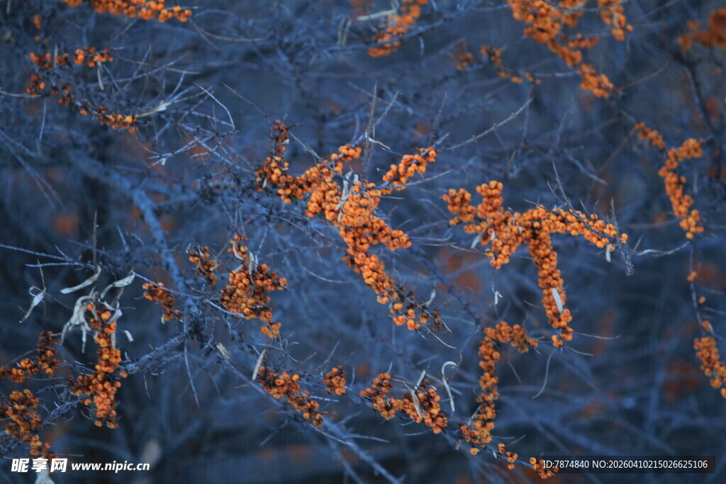 蓝色底面上的橙色纹理图案