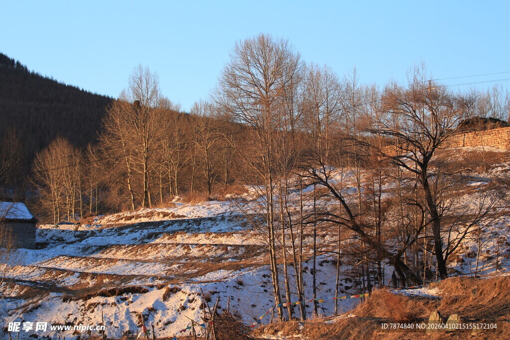 冬日山村雪景