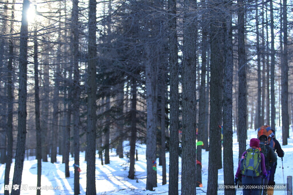 雪地林间徒步者