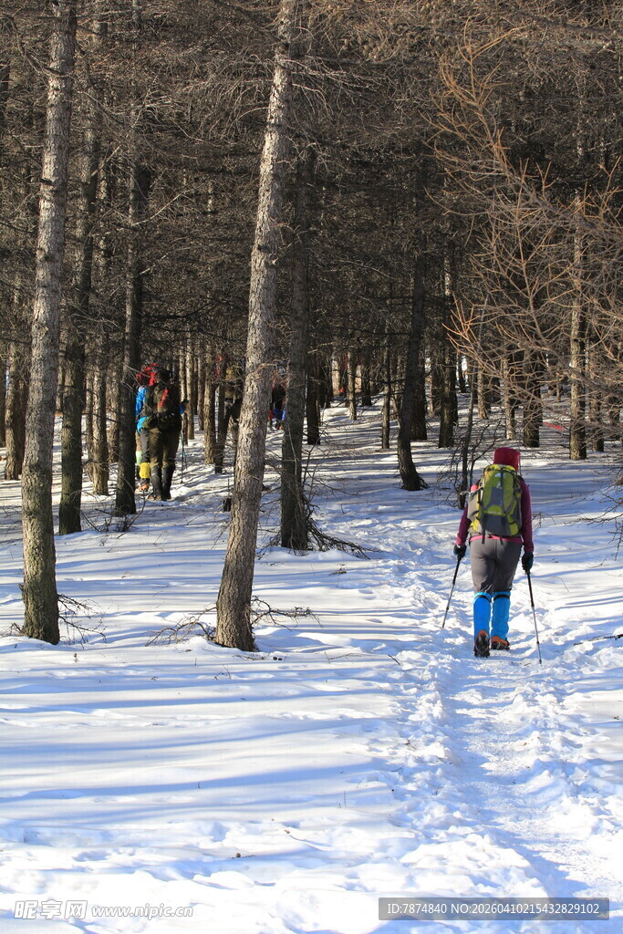 雪地林间徒步者