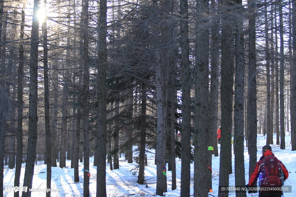 冬日雪林徒步者