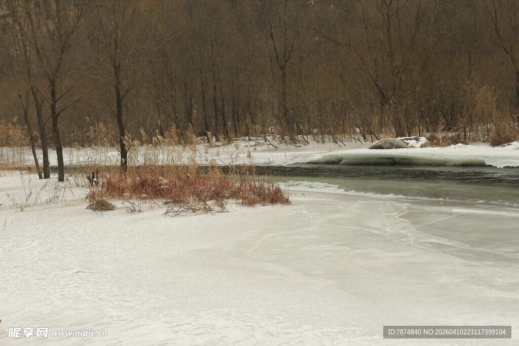 冬日雪覆河岸风景