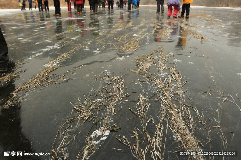 冰面人群与岸边枯草景象