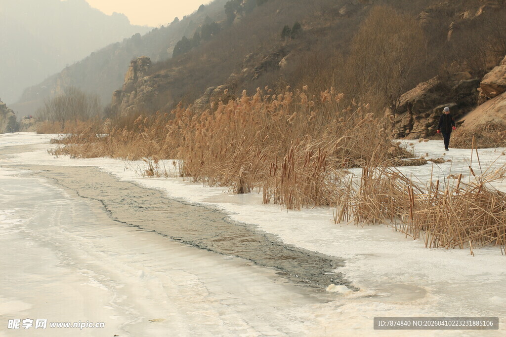 冬日冰封河岸芦苇景观
