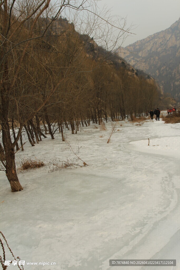 冬日雪覆林间小路