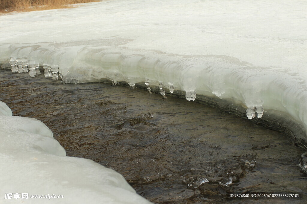 冰雪消融处的地面景象