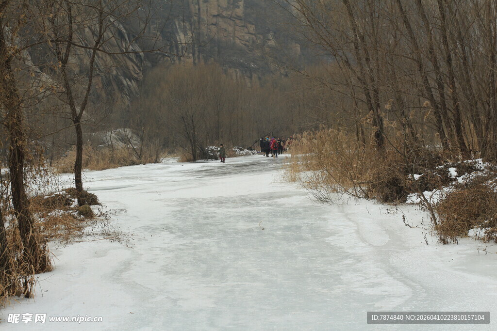 冬日冰封的林间小道