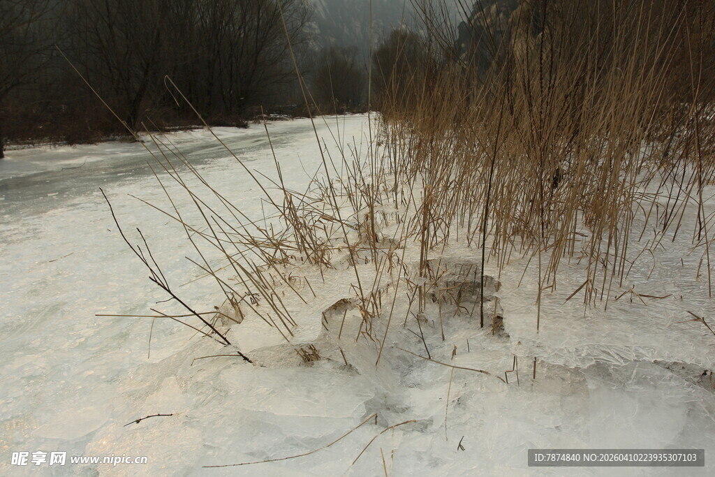 冬日雪中小径与枯黄野草