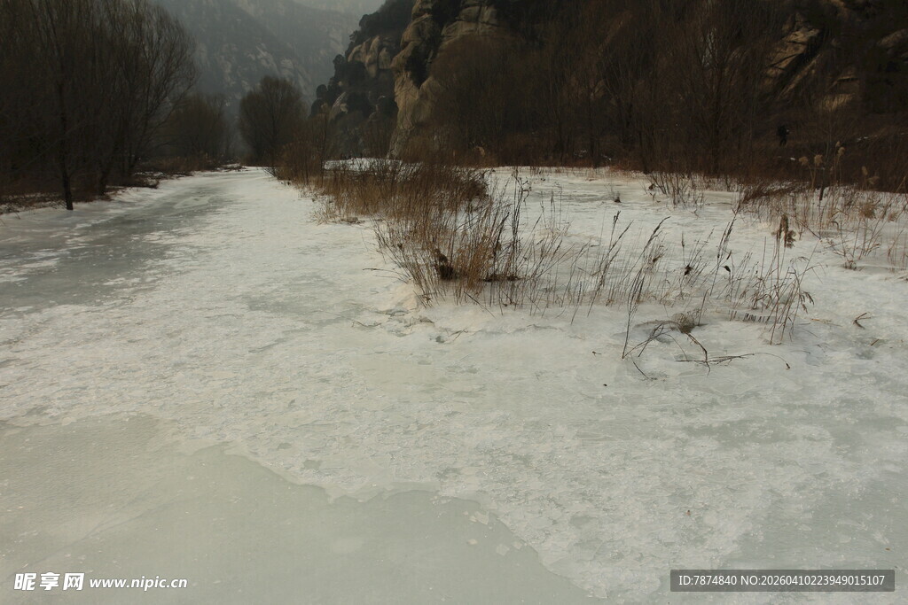 冬日雪覆小路的静谧景象