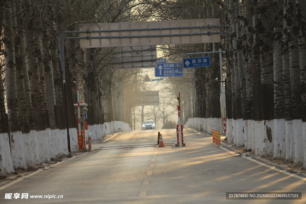 林间道路入口处场景