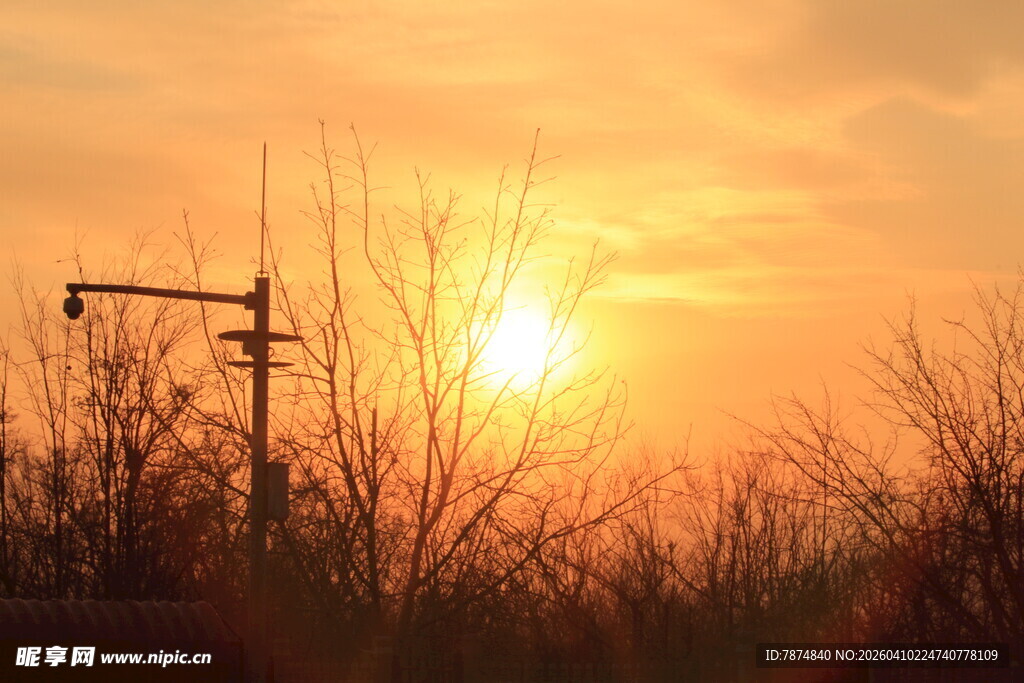 夕阳下的田野与电力设施