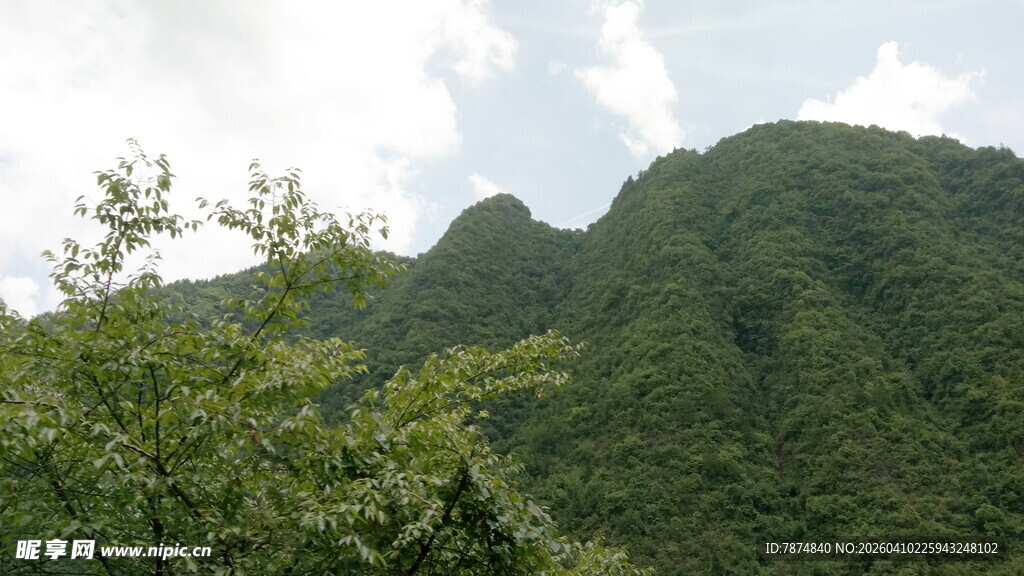 青山绿树间的秀丽景致