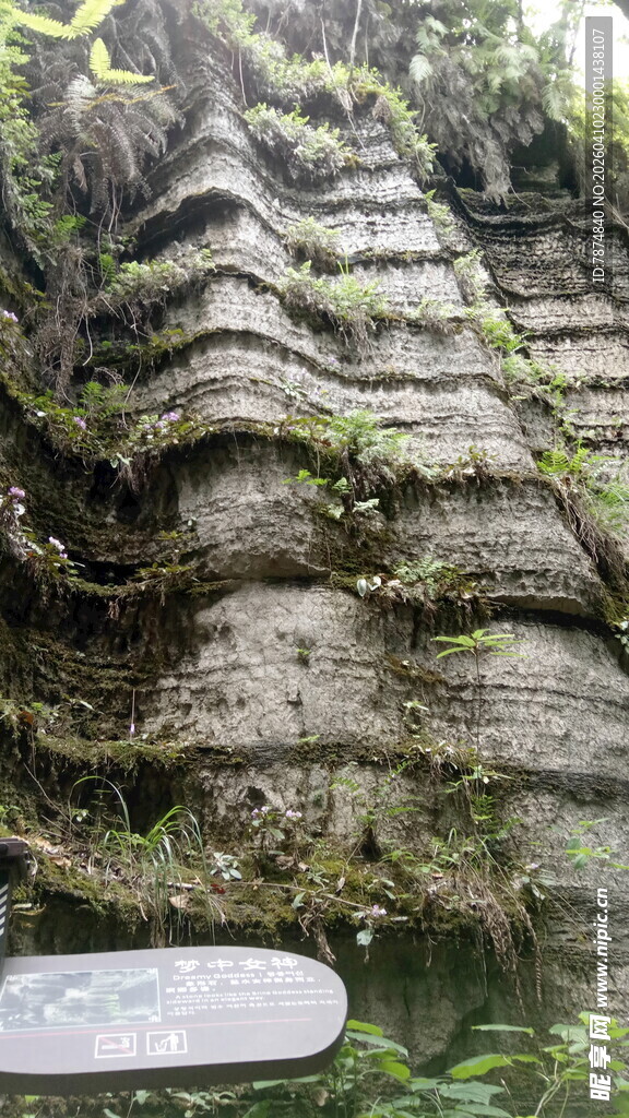 奇特岩壁下的静谧水域