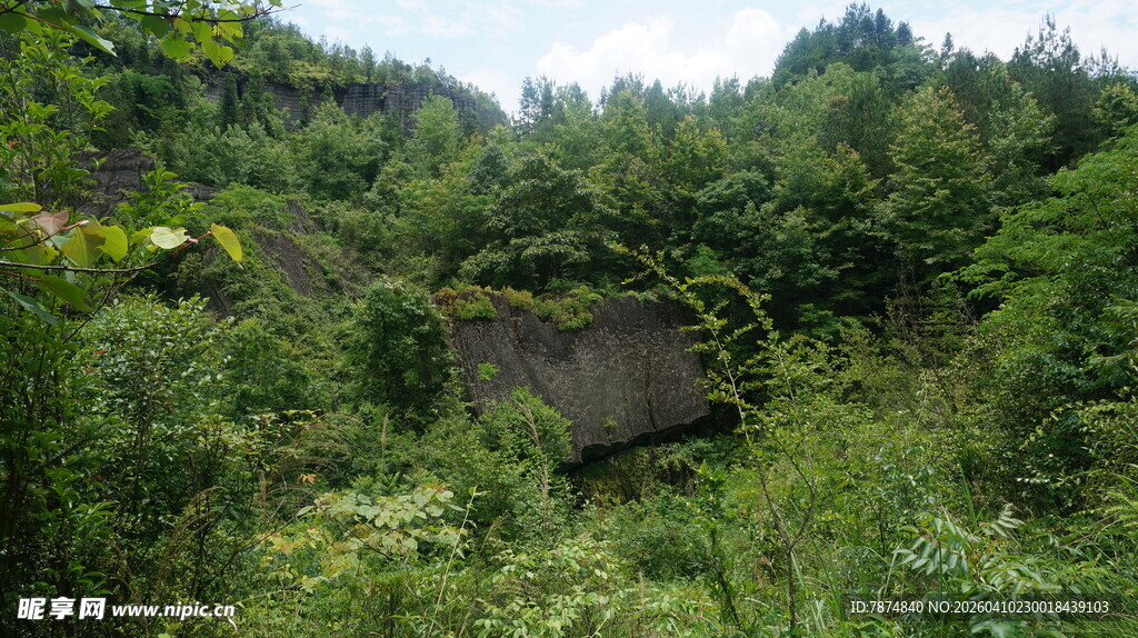 荒废小屋隐于茂密绿植中