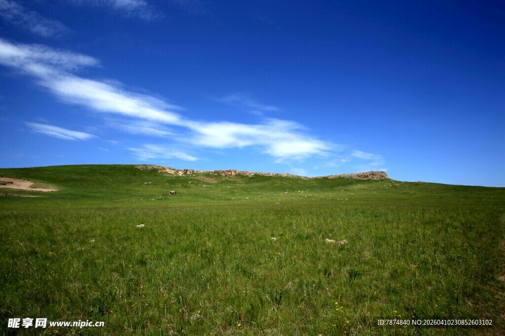 广袤草原 蓝天绿地美景