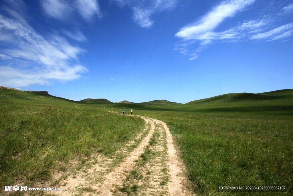 草原上的蜿蜒小路