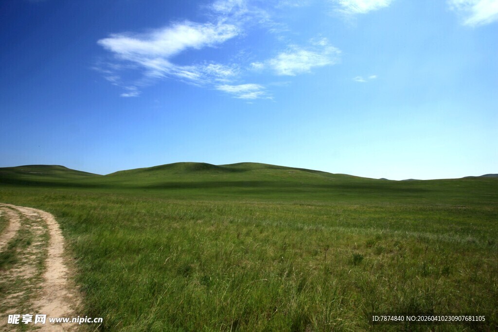 草原上的蜿蜒小路
