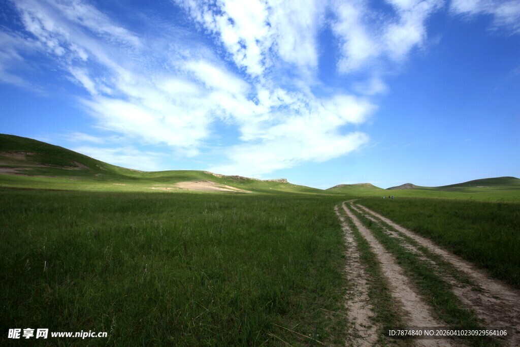 草原上的蜿蜒车辙之路