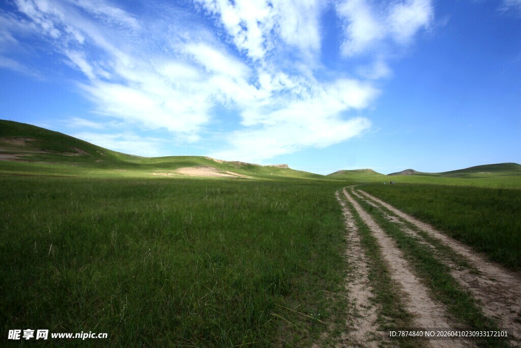 草原上的蜿蜒小路