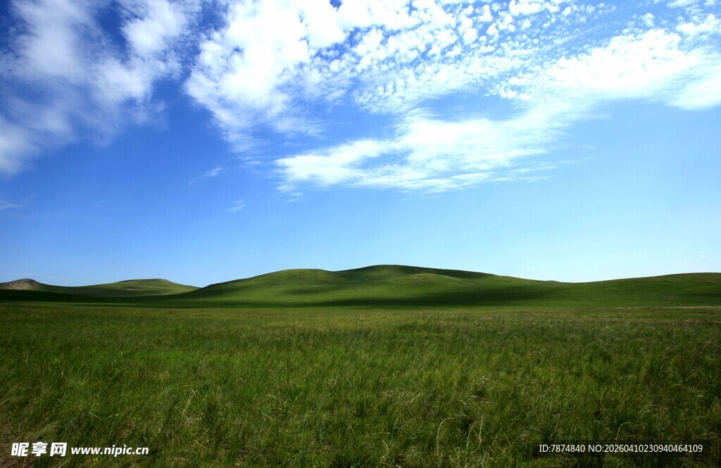 广袤草原 蓝天白云美景