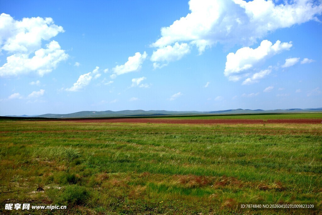 广阔草原蓝天白云美景
