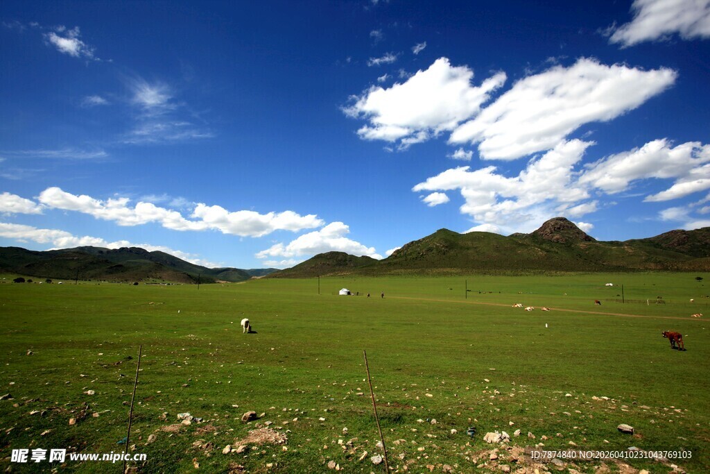 草原蓝天美景