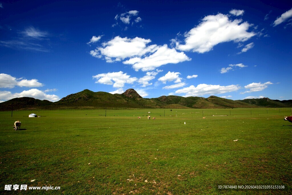 草原蓝天美景