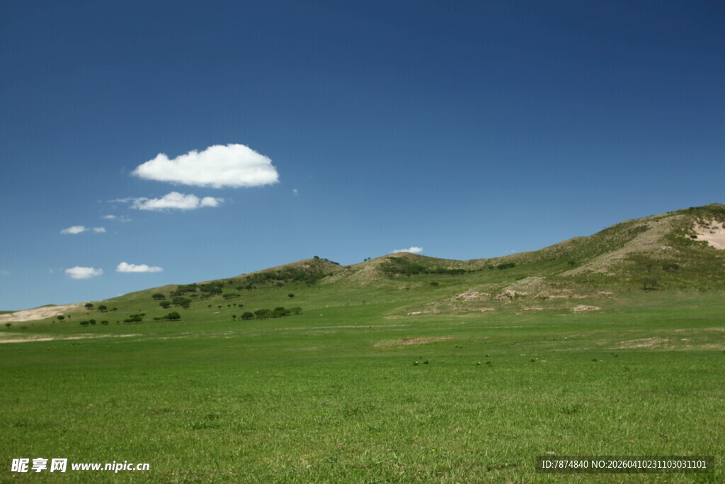 广袤草原与蓝天相映