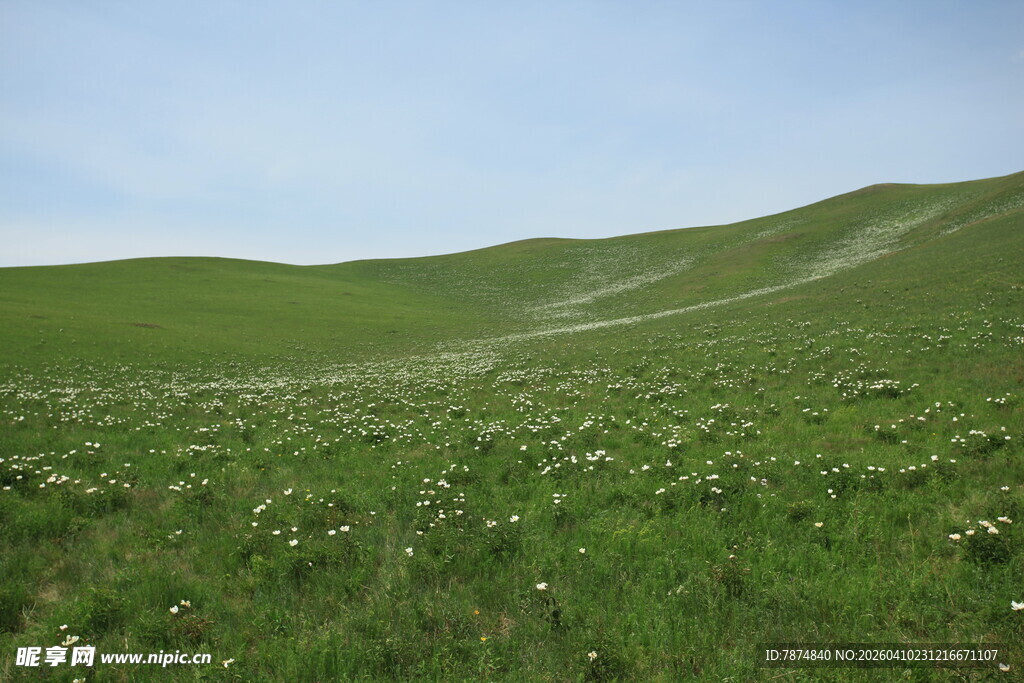 广袤绿野 尽显自然生机