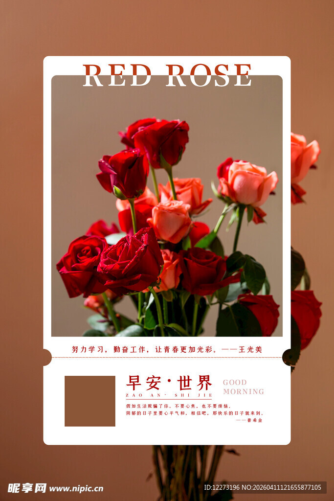 复古风红色花卉摄影作品