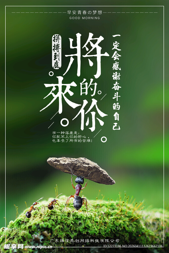 未来野茶 