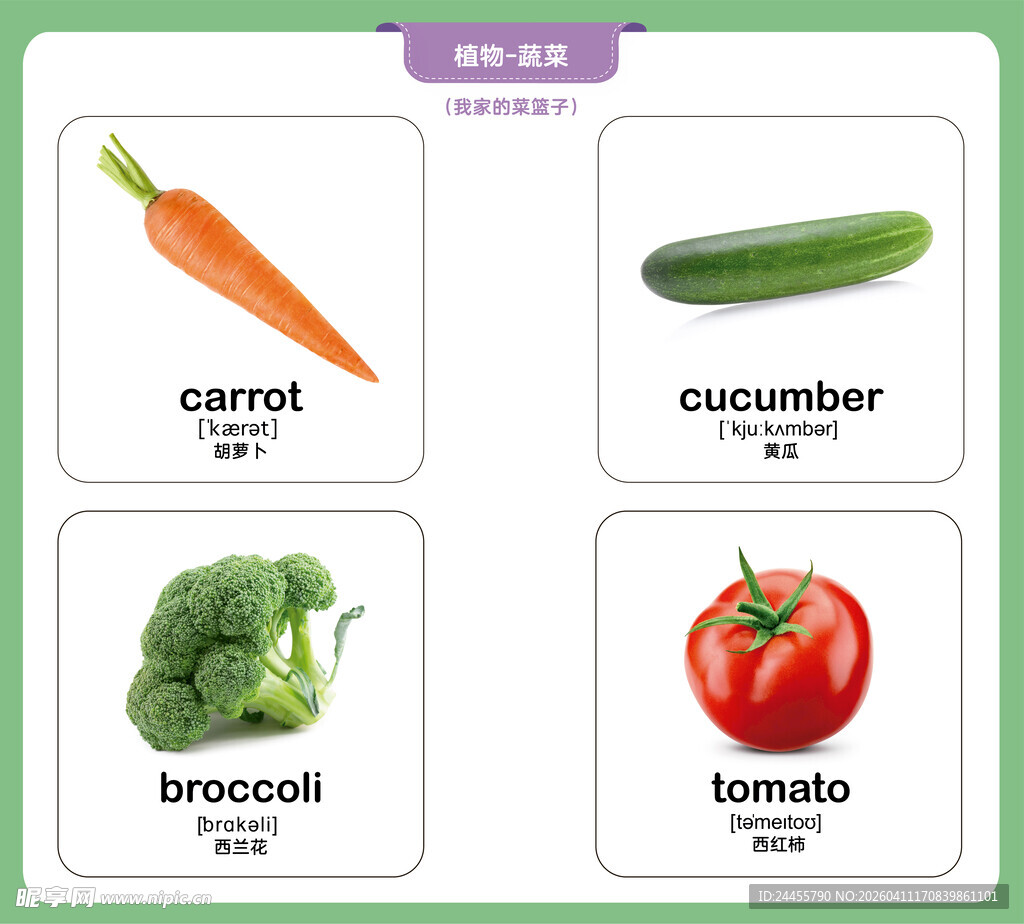 早教绘本 常见蔬菜英文词汇展示