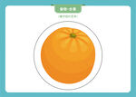 圆润饱满的新鲜橙子