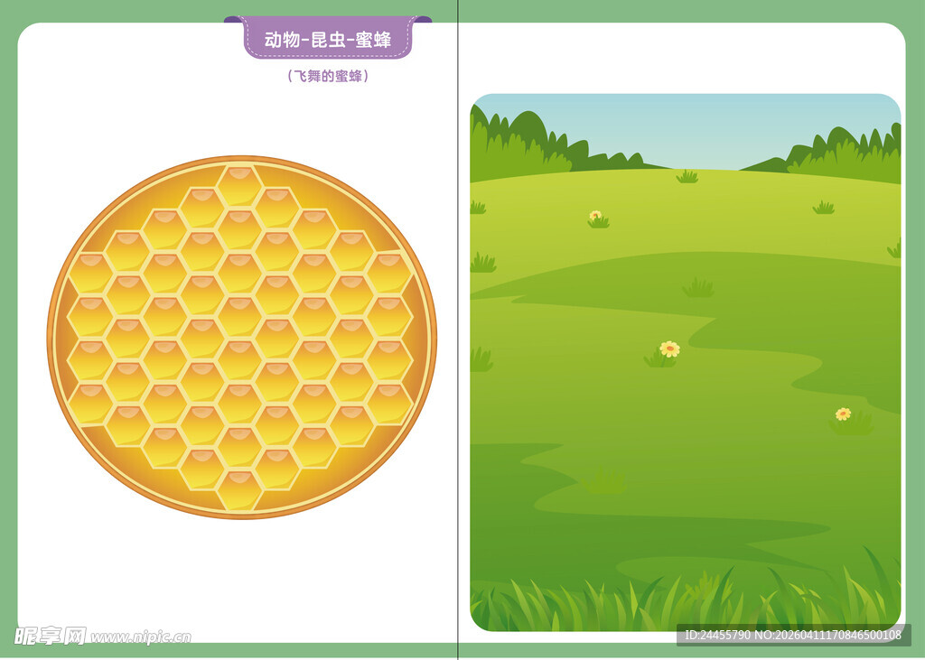 早教绘本 蜂巢与草地场景插画