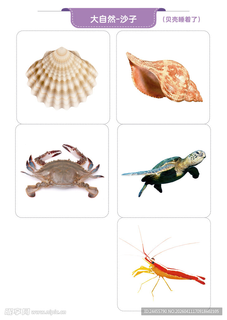 海洋生物展示