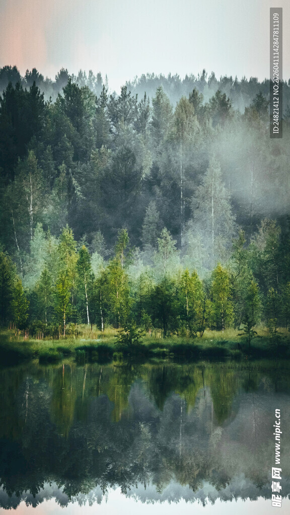 湖畔晨雾中的森林美景