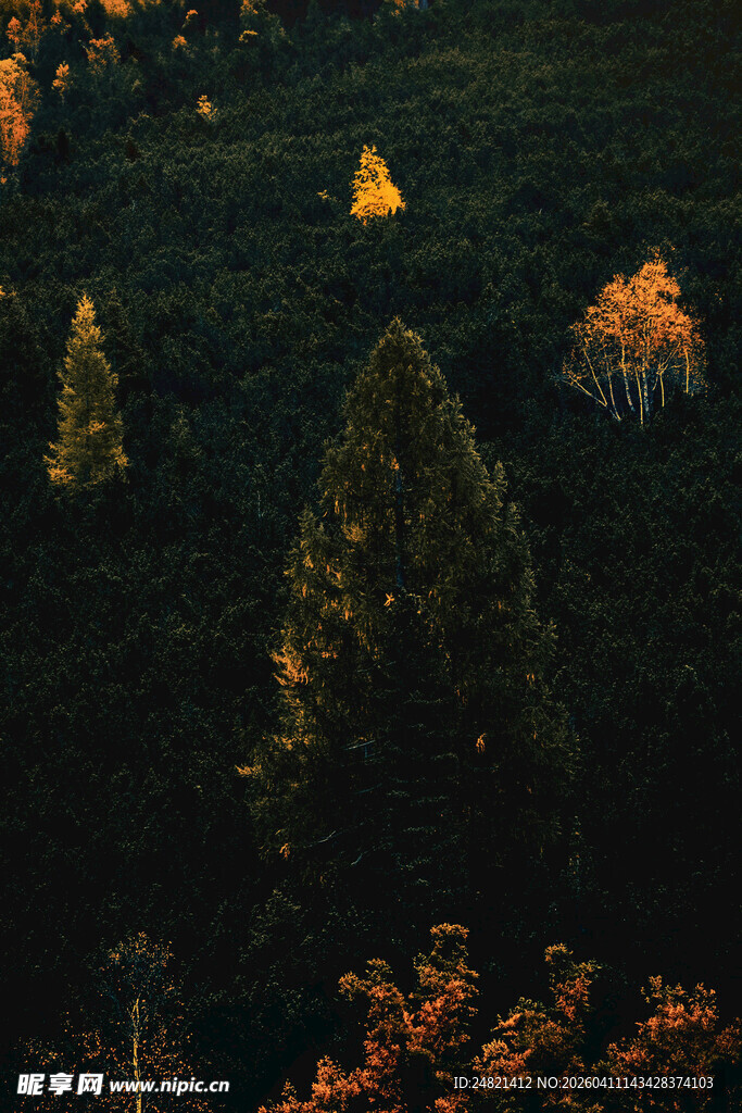 山林暮色中的闪烁灯火