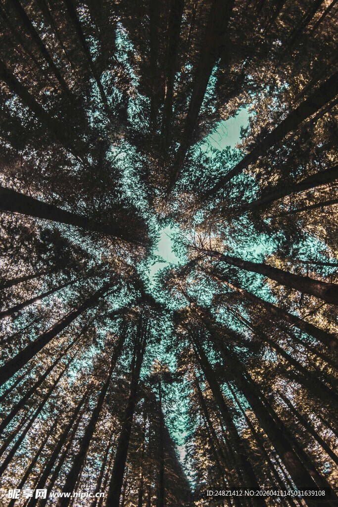 神秘星芒纹理图案